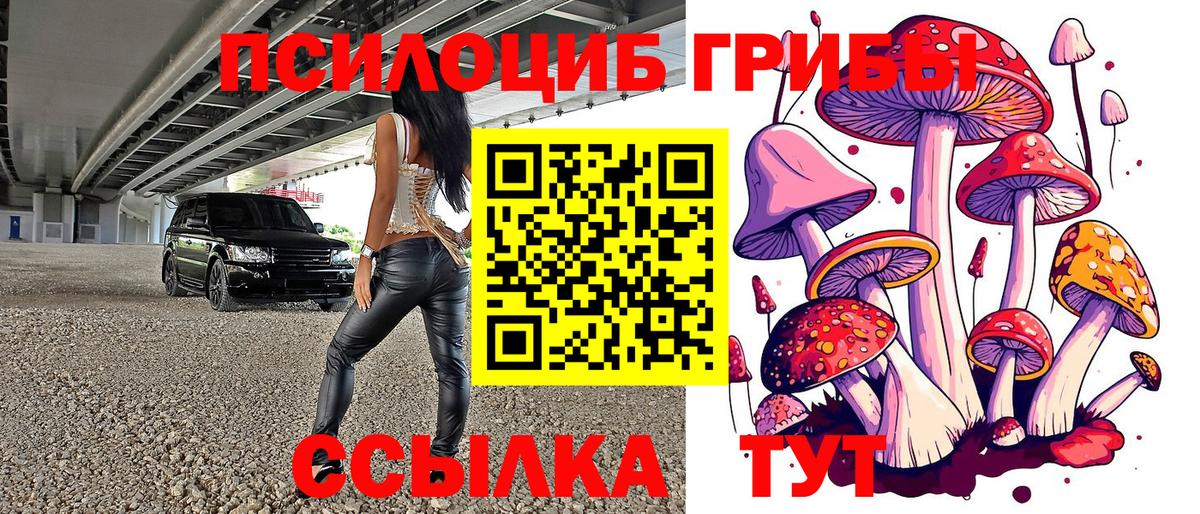 Псилоцибиновые грибы MAGIC MUSHROOMS Минеральные Воды