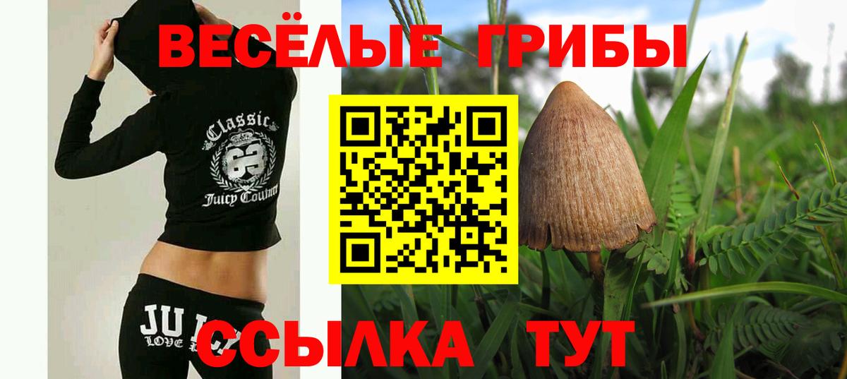 Минеральные Воды  Псилоцибиновые грибы Cubensis  Вход с VPN  цены   Псилоцибиновые грибы MAGIC MUSHROOMS 